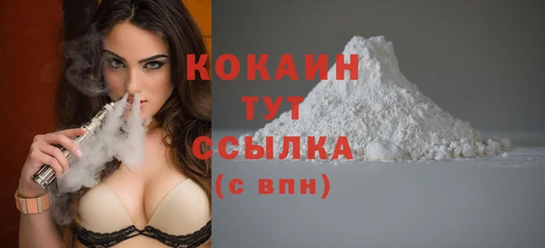 молекула духа Балахна