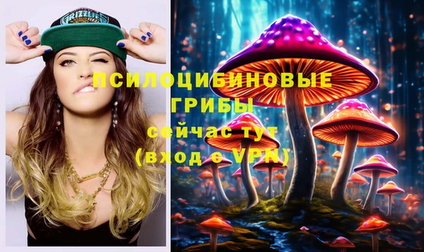 молекула духа Балахна
