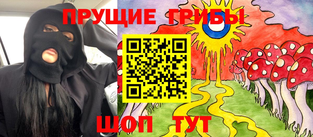 Галлюциногенные грибы GOLDEN TEACHER  Вход с VPN  Коммунар  Псилоцибиновые грибы Psilocybe 
